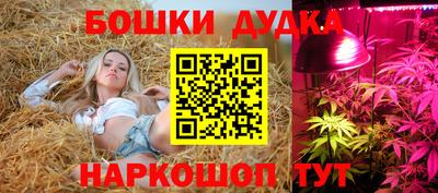 jwh Нальчик